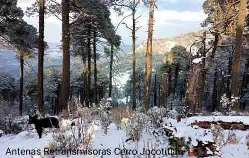 Video: Nevado de Toluca y cerro de Jocotitlán reciben su primera nevada del 2022