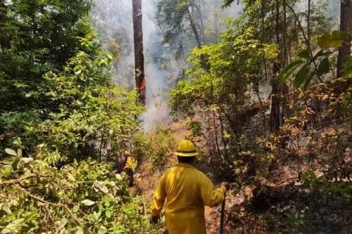 Bajo control tres de los cinco incendios forestales deValle de Bravo