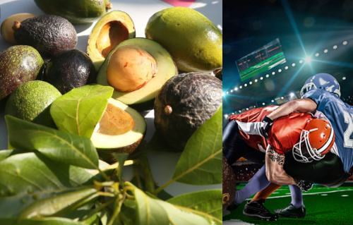 Aguacate mexiquense llega al Super Bowl