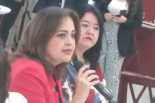 PRI enfrentará elección de estado este 2024: Ana Lilia Herrera Anzaldo