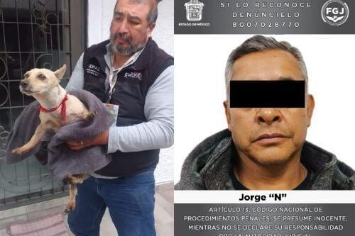 Video: Por golpear a perrito en Naucalpan, trabajador de limpia ingresa al penal