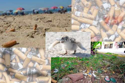 A petición del GPPAN, sanciones a quien tire colillas de cigarro en calles