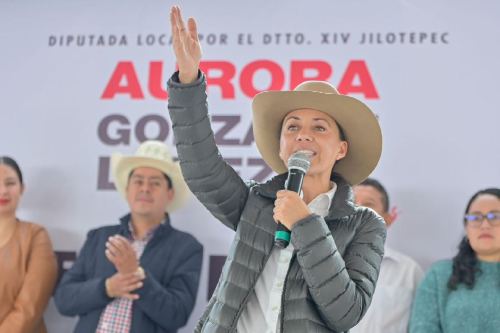 Ley del Campo detonará economía rural: Aurora González