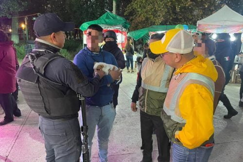Trabaja Toluca en evitar venta de animales en espacios públicos