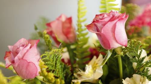 Dilo con flores, este Día del amor y la amistad; los floricultores mexiquenses, ya tienen tu regalo