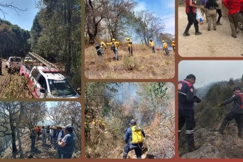 Controlan incendio del cerro "La Verónica" en Lerma