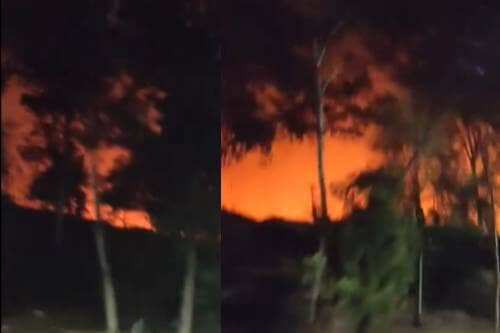 Video: Sin control incendio forestal del Vaso Regulador El Cristo en Naucalpan