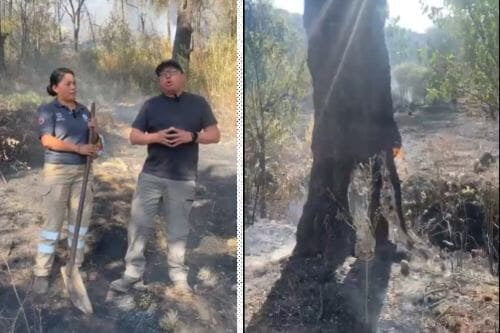 Autoridades de Lerma atienden cinco incendios forestales