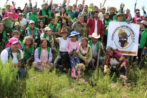 Más de 4 mil pinos plantados en Almoloya por jornada de reforestación