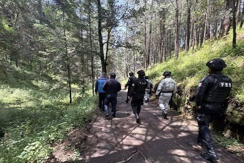 Operativo en La Lima busca frenar extracción ilegal de madera en Almoloya de Juárez