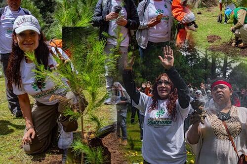 Periodistas reforestan Santiago Tianguistenco con mil árboles