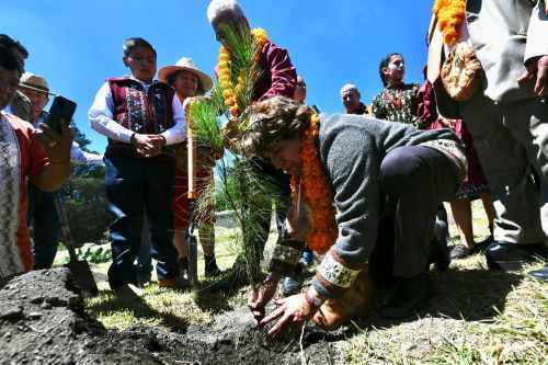 Deforestación en Edomex provoca que 108 municipios sufran sequía; 24 extrema
