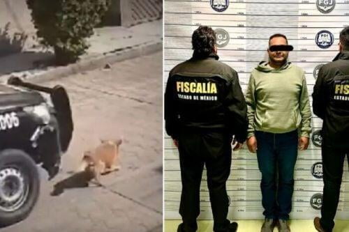 Video: A prisión policía que atropelló a "Peluche" en Chimalhuacán