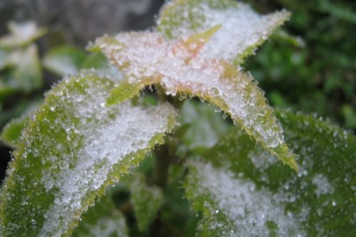 Primera tormenta invernal propiciará condiciones para la caída de aguanieve o nieve