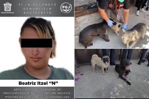 Video: Tras denuncia ciudadana, rescatan a cinco mascotas en Texcoco y detienen a la dueña