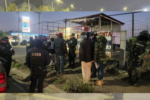 Operativo en Ocuilan, contra tala clandestina; aseguran madera de dudosa procedencia