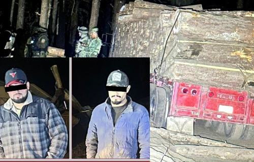 Caen dos delincuentes que talaban bosque en Coatepec Harinas