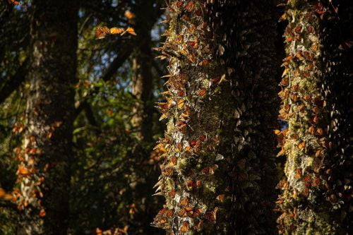 Abre sus puertas el Estado de México para recibir a visitantes en esta temporada vacacional