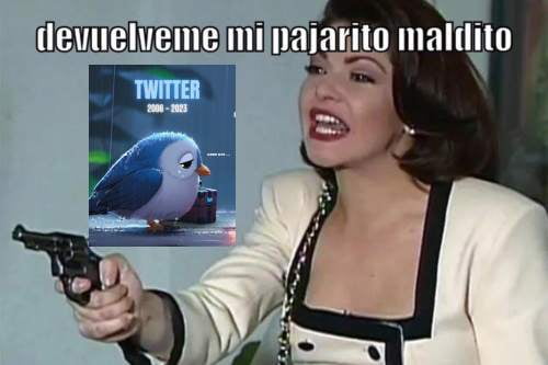 ¿Eres team pajarito o team espantosa X? Mira los memes