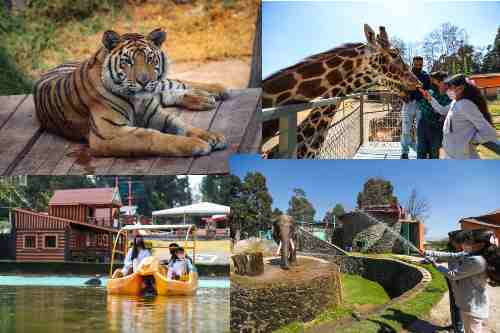 Video: Anuncian cierre temporal del zoológico Zacango